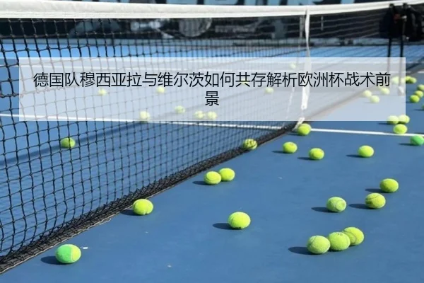 德国队穆西亚拉与维尔茨如何共存解析欧洲杯战术前景 | kaiyun